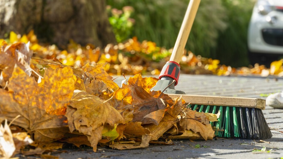 Leaf removal by Four Seasons Lawn Care Inc.