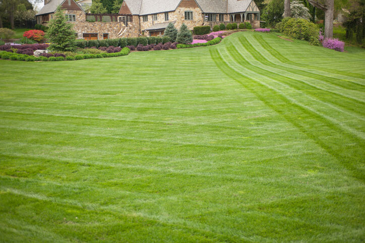 Lawn care by Four Seasons Lawn Care Inc.