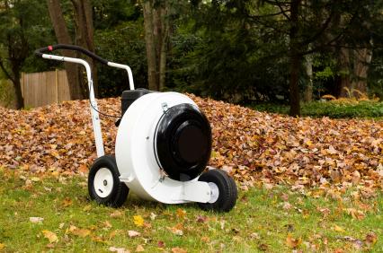 Leaf removal in Coopersburg, PA by Four Seasons Lawn Care Inc.