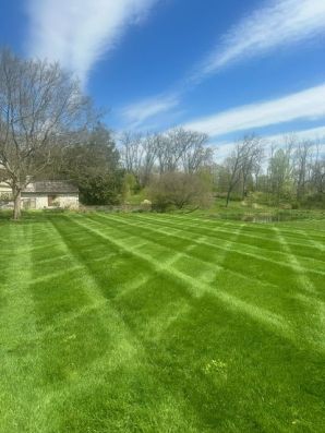 Lawn Care in Dublin, PA (1)