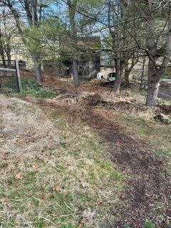 Landscaping Service in Perkasie, PA (8)