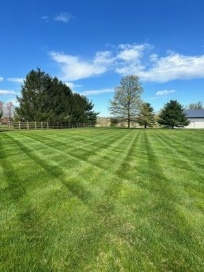 Lawn Care in Dublin, PA (4)